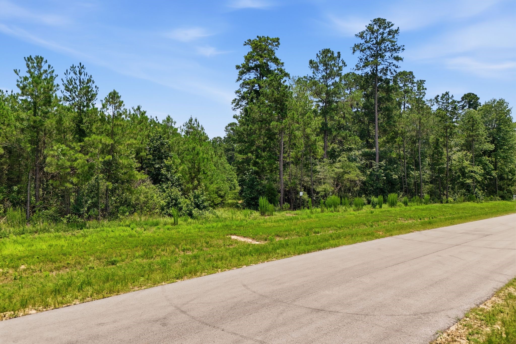 16222 Ridge Oak Road Willis, TX 77378 - Photo 27 of 32