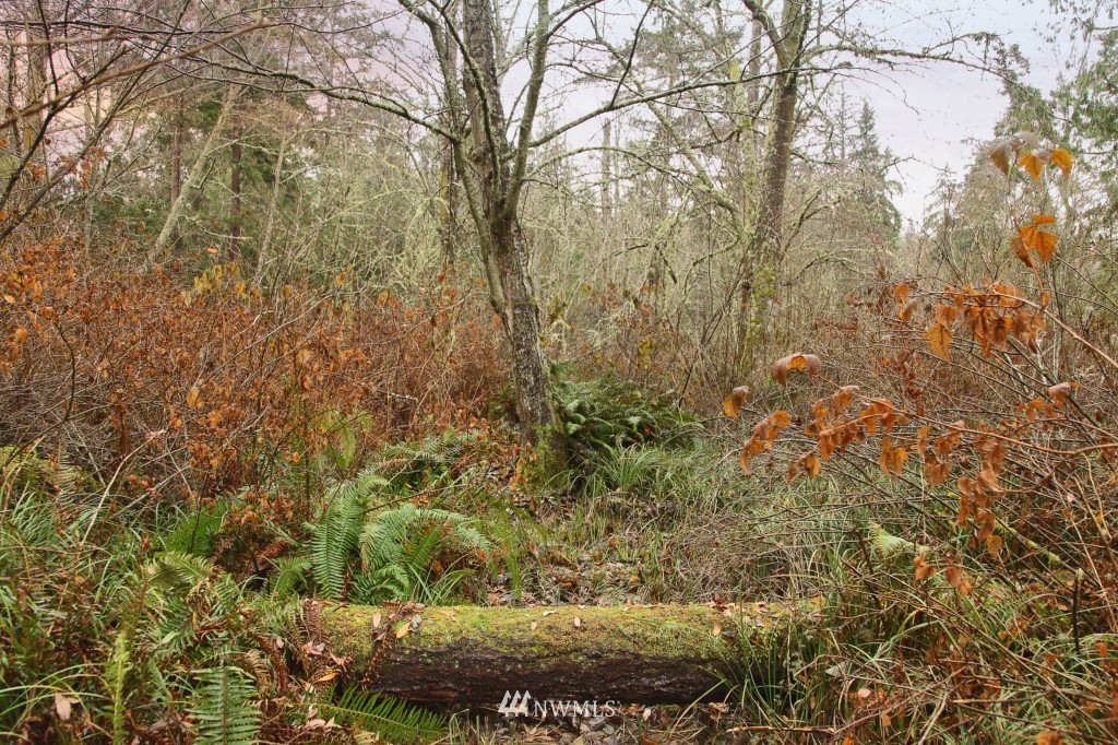 5790 Fish Road Freeland, WA 98249 - Photo 20 of 25