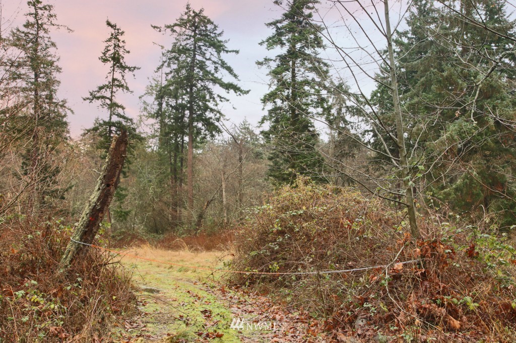 5790 Fish Road Freeland, WA 98249 - Photo 22 of 25