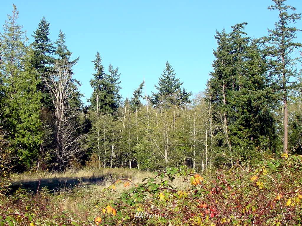 5790 Fish Road Freeland, WA 98249 - Photo 24 of 25