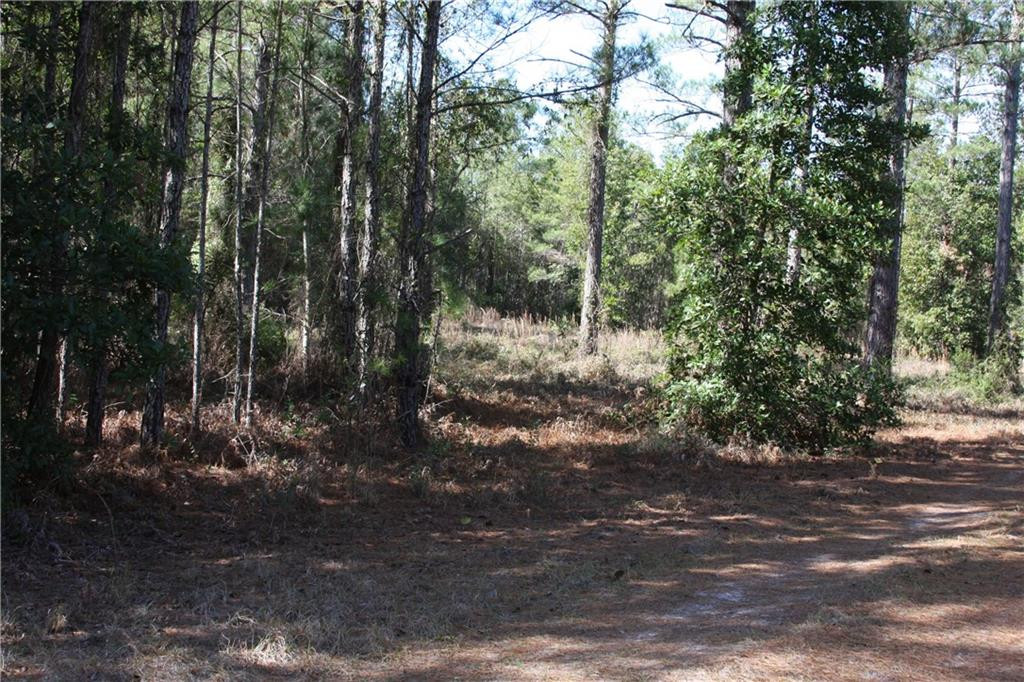 0 Southwest King Swamp Road Southwest Darien, GA 31305 - Photo 6 of 6