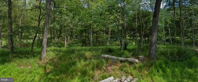 4827 Reels Mill Road Frederick, MD 21704 - Photo 1 of 7 Lot / Land