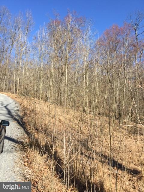 4827 Reels Mill Road Frederick, MD 21704 - Photo 4 of 7 Lot / Land