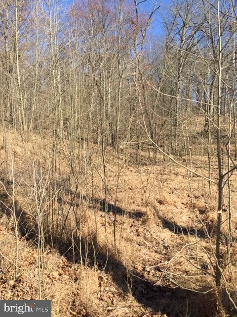 4827 Reels Mill Road Frederick, MD 21704 - Photo 5 of 7 Lot / Land