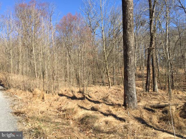 4827 Reels Mill Road Frederick, MD 21704 - Photo 6 of 7 Lot / Land