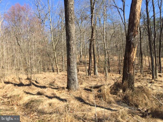 4827 Reels Mill Road Frederick, MD 21704 - Photo 7 of 7 Lot / Land