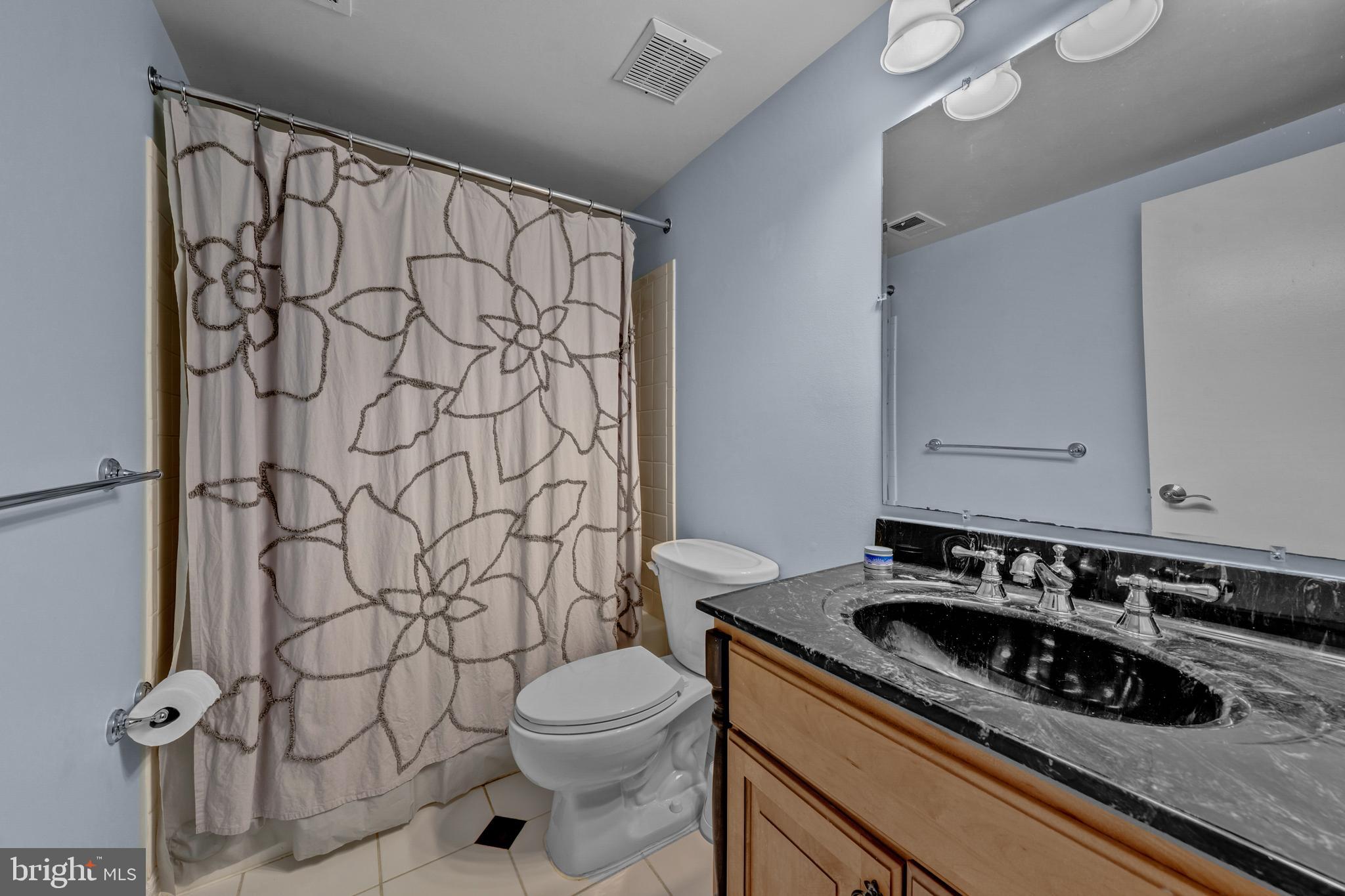 1077 Spring Hill Road McLean, VA 22102 - Photo 49 of 59 Lower Level Full Bath
