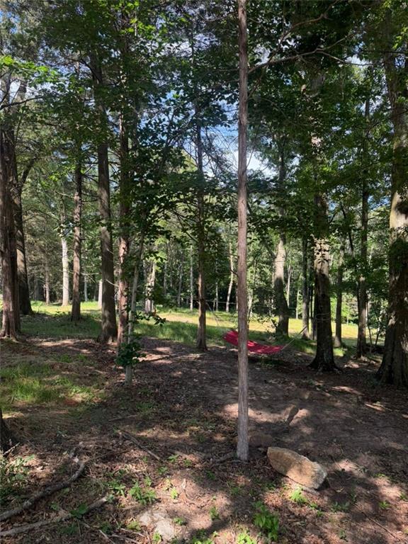 2606 Whipporwill Road Royston, GA 30662 - Photo 26 of 30 a view of road with trees