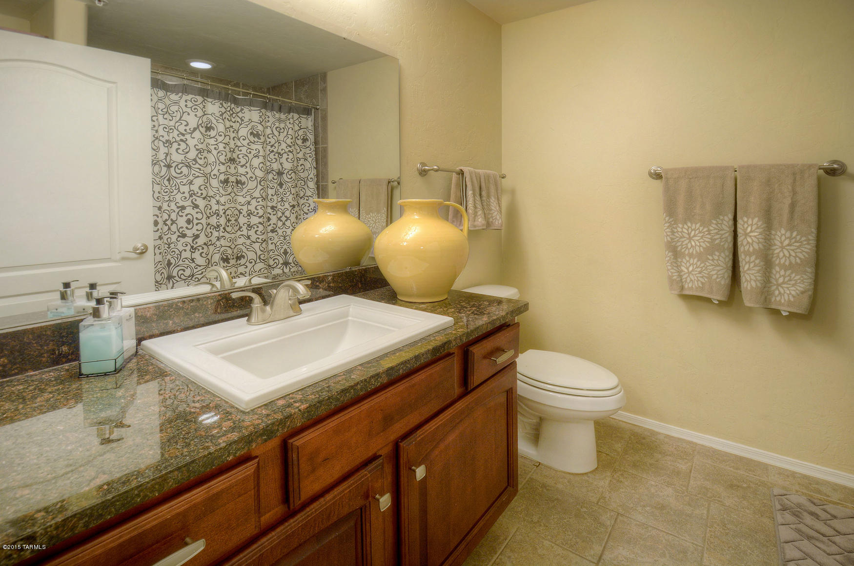 2550 East River Road, Unit 12206 Tucson, AZ 85718 - Photo 10 of 11