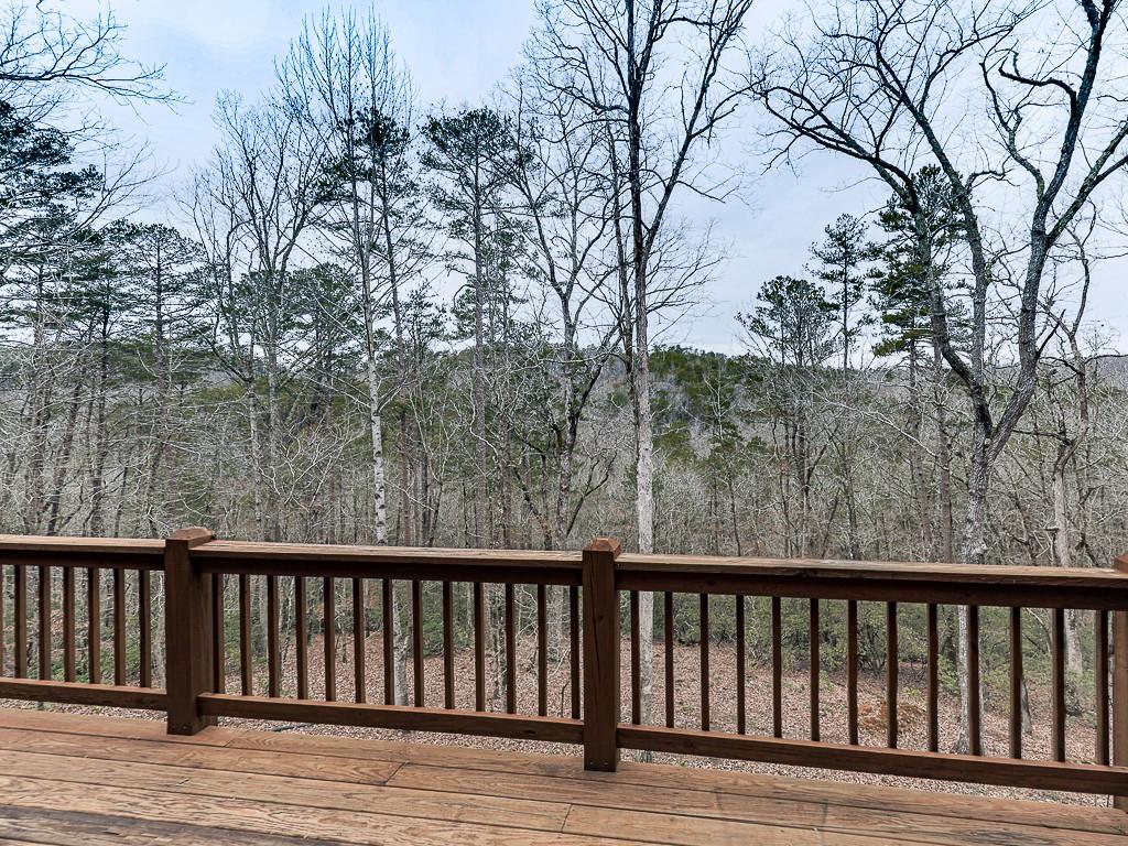 1670 Outback Road Jasper, GA 30143 - Photo 60 of 76