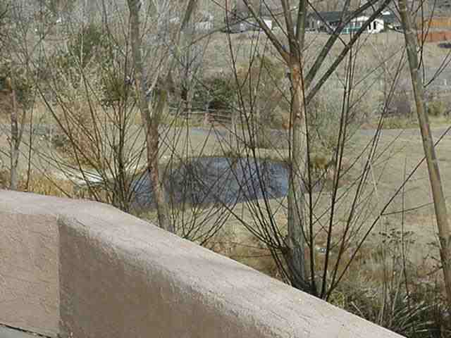 3136 Washoe Springs Road Minden, NV 89423 - Photo 3 of 9 Gallery Image 3