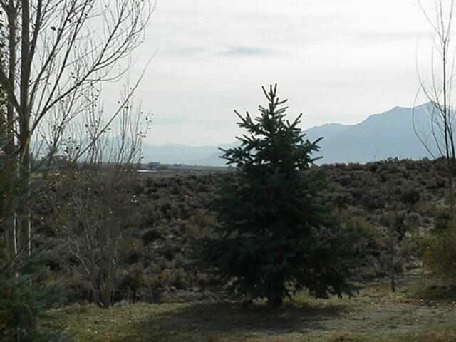 3136 Washoe Springs Road Minden, NV 89423 - Photo 5 of 9 Gallery Image 5