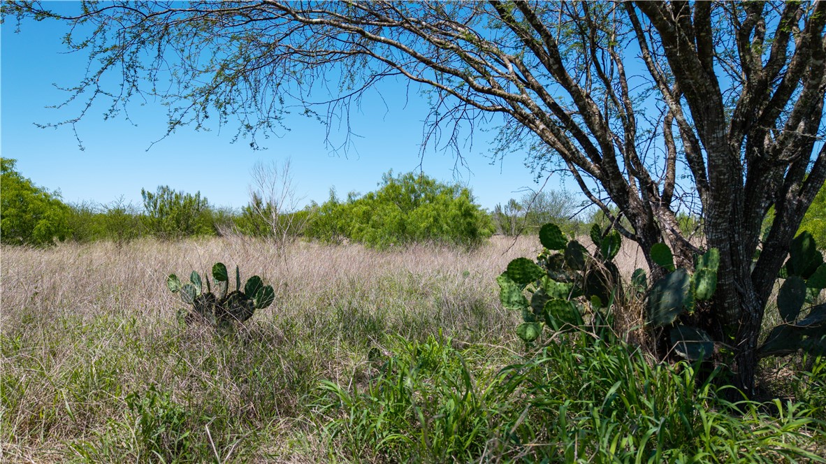0 Fm 735 Alice, TX 78332 - Photo 14 of 40 a view of a lake with a tree in the background