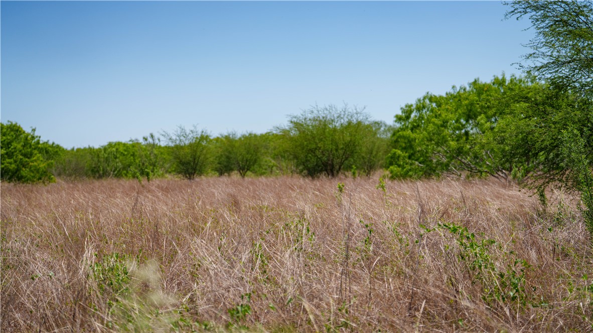 0 Fm 735 Alice, TX 78332 - Photo 20 of 40 a view of a lake and green valley