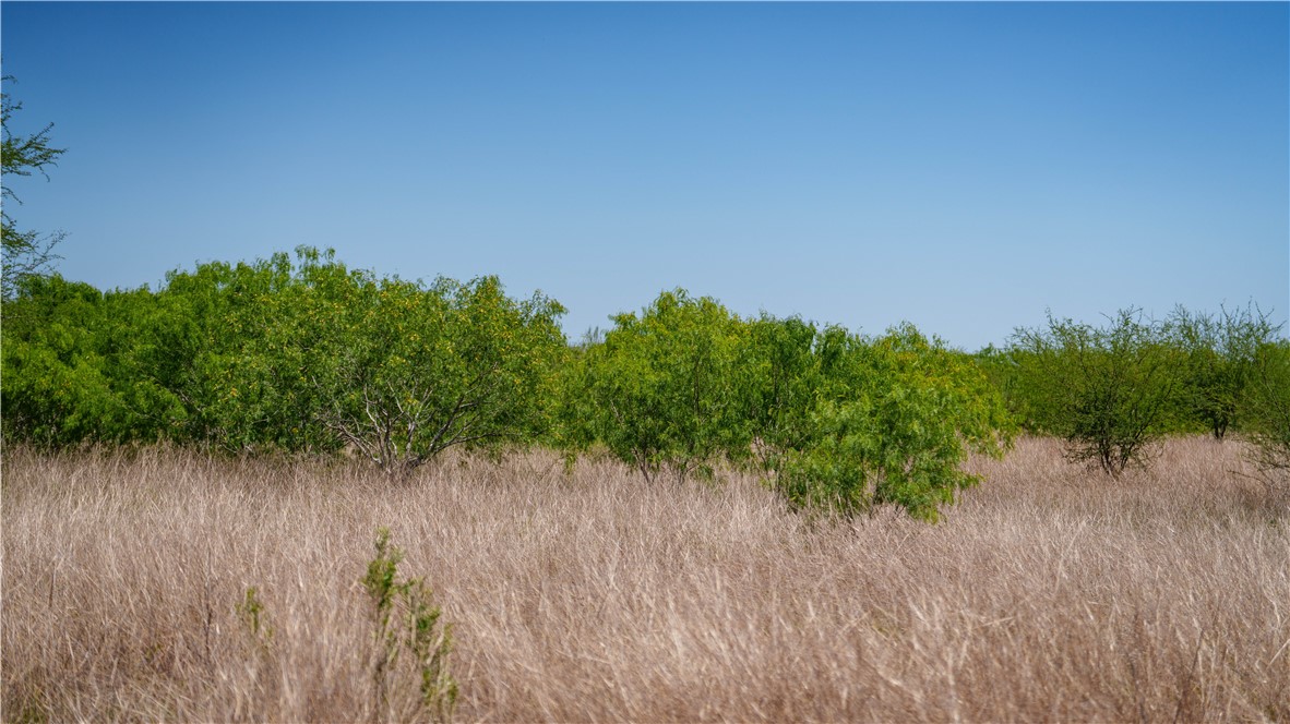0 Fm 735 Alice, TX 78332 - Photo 27 of 40 a view of a lush green field