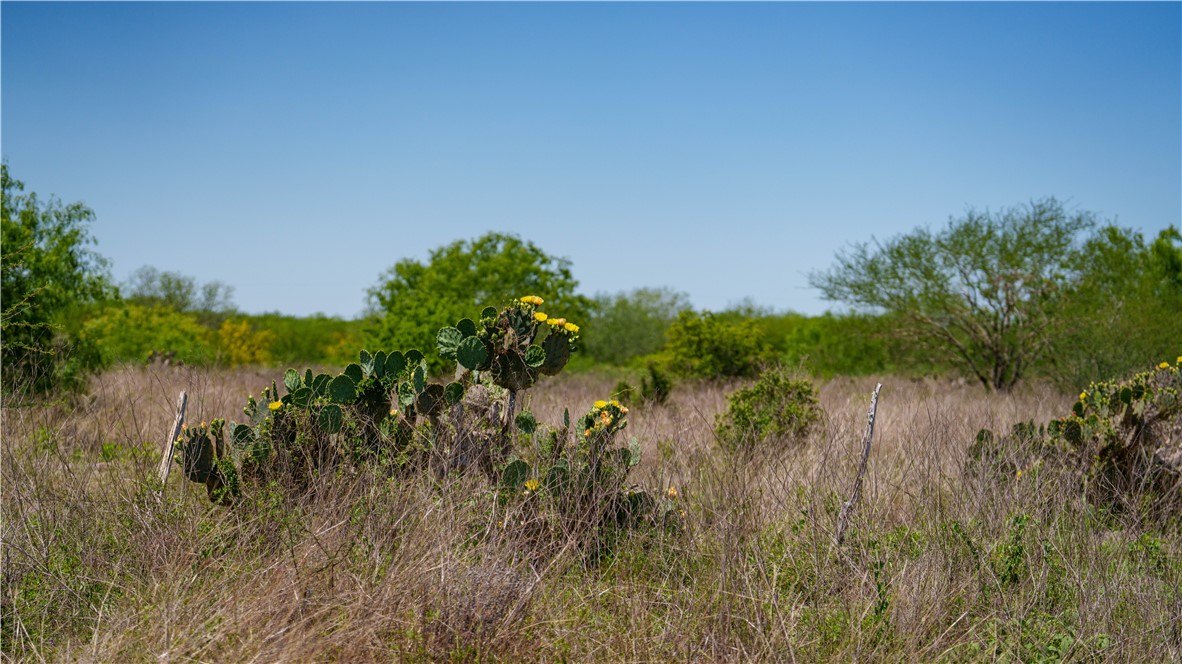 0 Fm 735 Alice, TX 78332 - Photo 30 of 40 a view of a lake with a house in background