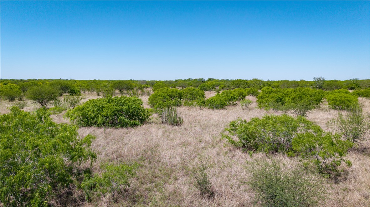 0 Fm 735 Alice, TX 78332 - Photo 37 of 40 a view of a lake with houses in the back