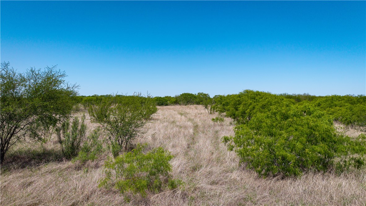 0 Fm 735 Alice, TX 78332 - Photo 38 of 40 a view of a lake with a mountain in the background