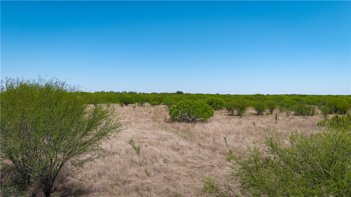 0 Fm 735 Alice, TX 78332 - Photo 8 of 40 a view of a lake with houses in the back