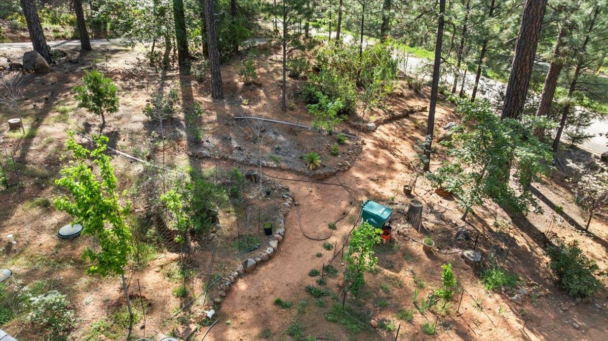 10128 Howe Avenue Grass Valley, CA 95949 - Photo 11 of 70