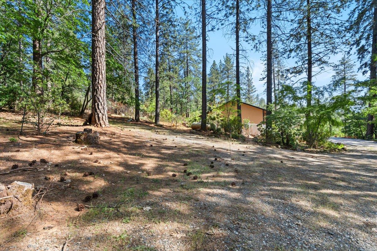 10128 Howe Avenue Grass Valley, CA 95949 - Photo 50 of 70