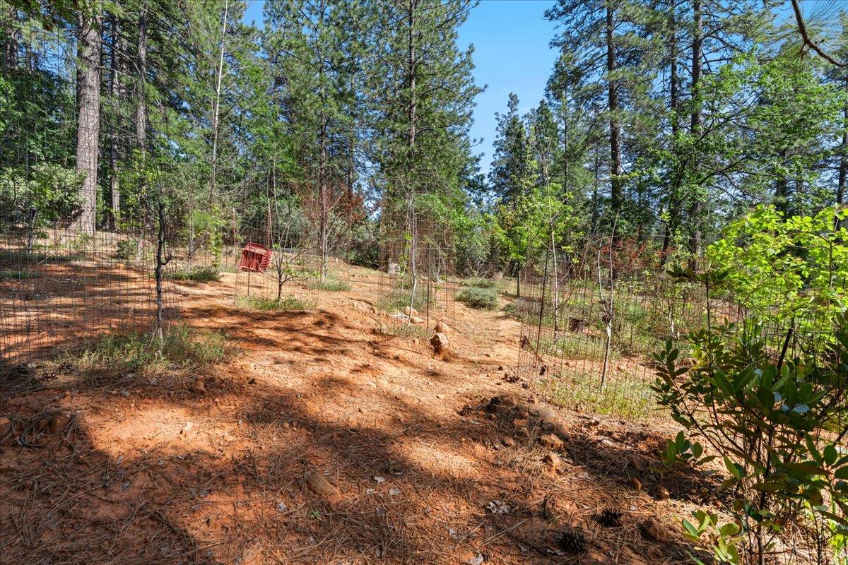 10128 Howe Avenue Grass Valley, CA 95949 - Photo 51 of 70