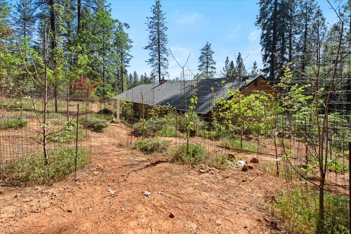 10128 Howe Avenue Grass Valley, CA 95949 - Photo 52 of 70