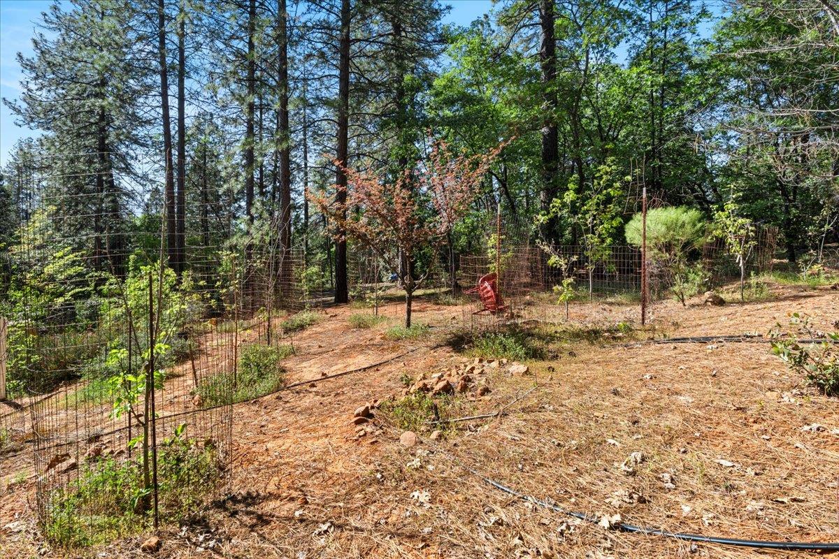 10128 Howe Avenue Grass Valley, CA 95949 - Photo 53 of 70