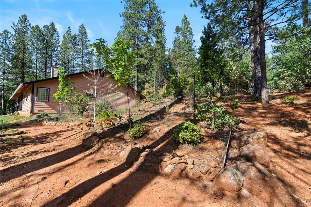 10128 Howe Avenue Grass Valley, CA 95949 - Photo 55 of 70