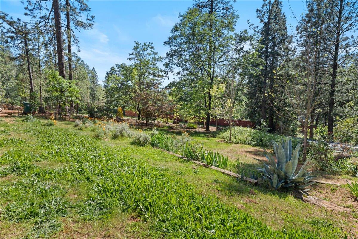 10128 Howe Avenue Grass Valley, CA 95949 - Photo 59 of 70