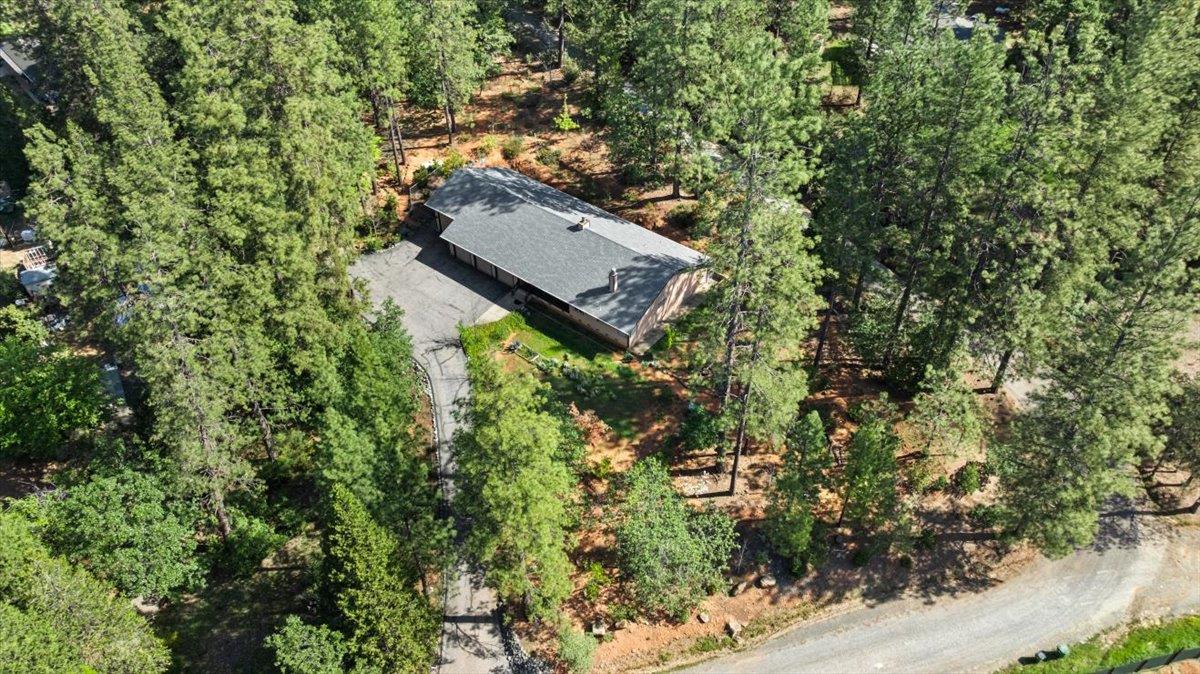 10128 Howe Avenue Grass Valley, CA 95949 - Photo 8 of 70
