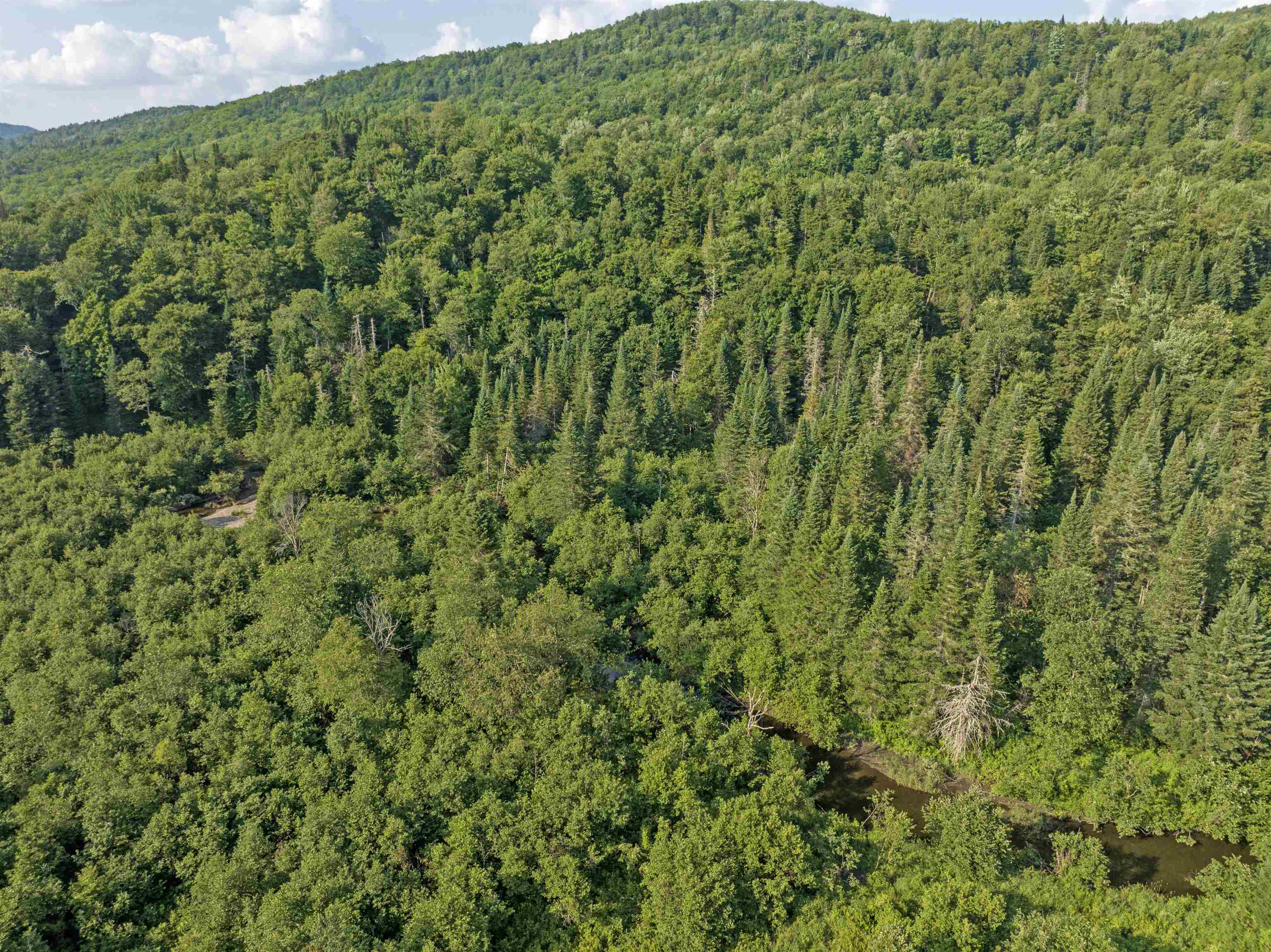 - Bishop Brook Road Stewartstown, NH 03576 - Photo 6 of 10