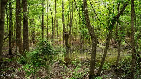 $100,000 | 7398 Amon Hill Road, Bastrop, LA 71220