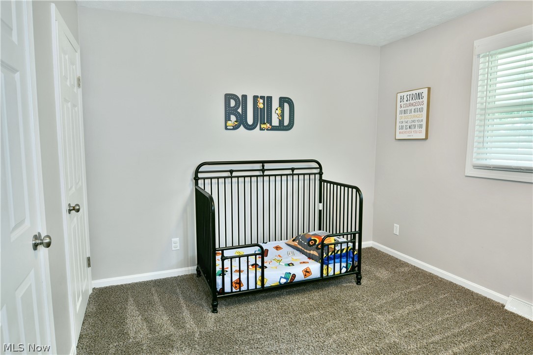 6556 Ridge Road Cortland, OH 44410 - Photo 23 of 50