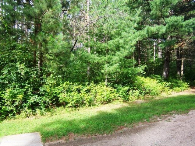 7771 River Road Evart, MI 49631 - Photo 27 of 29 Woods 2