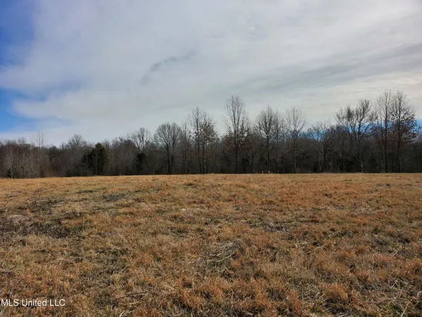 $1,000,000 | 0 Woolfolk Road, Senatobia, MS 38668