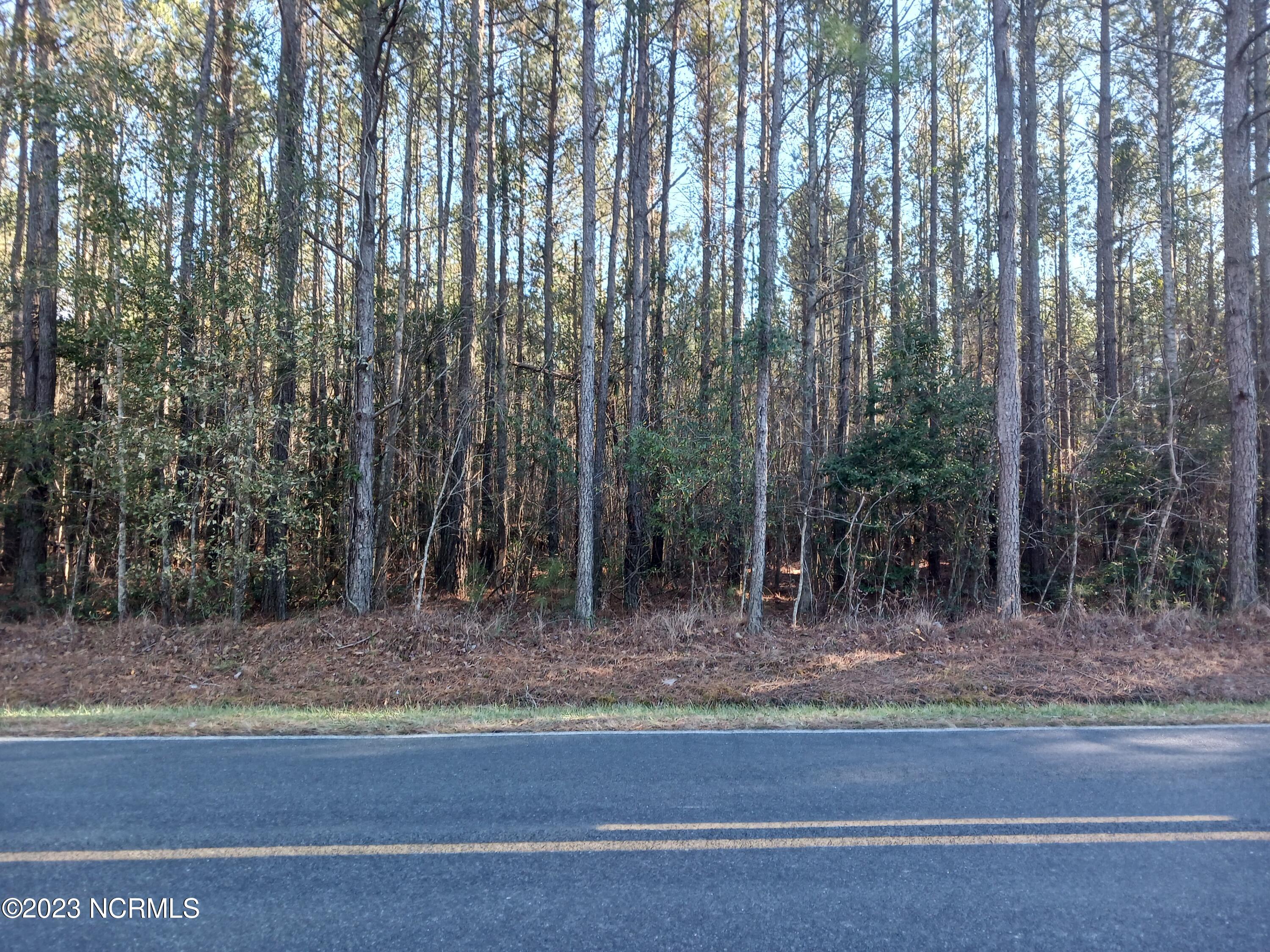 0 Scotts Store Road Grantsboro, NC 28529 - Photo 1 of 6 Primary Photo