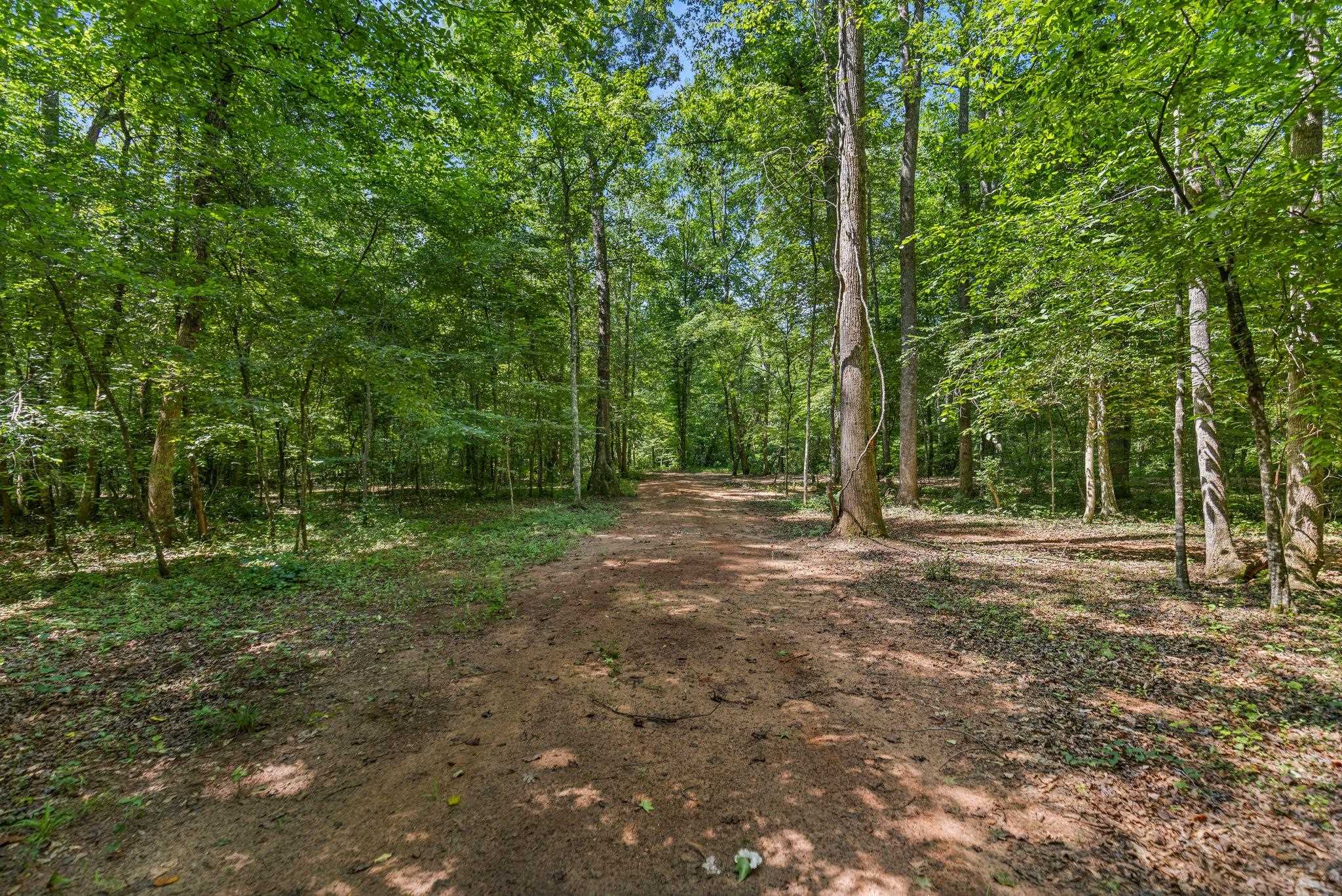 637 Odell Road Liberty, SC 29657 - Photo 12 of 19