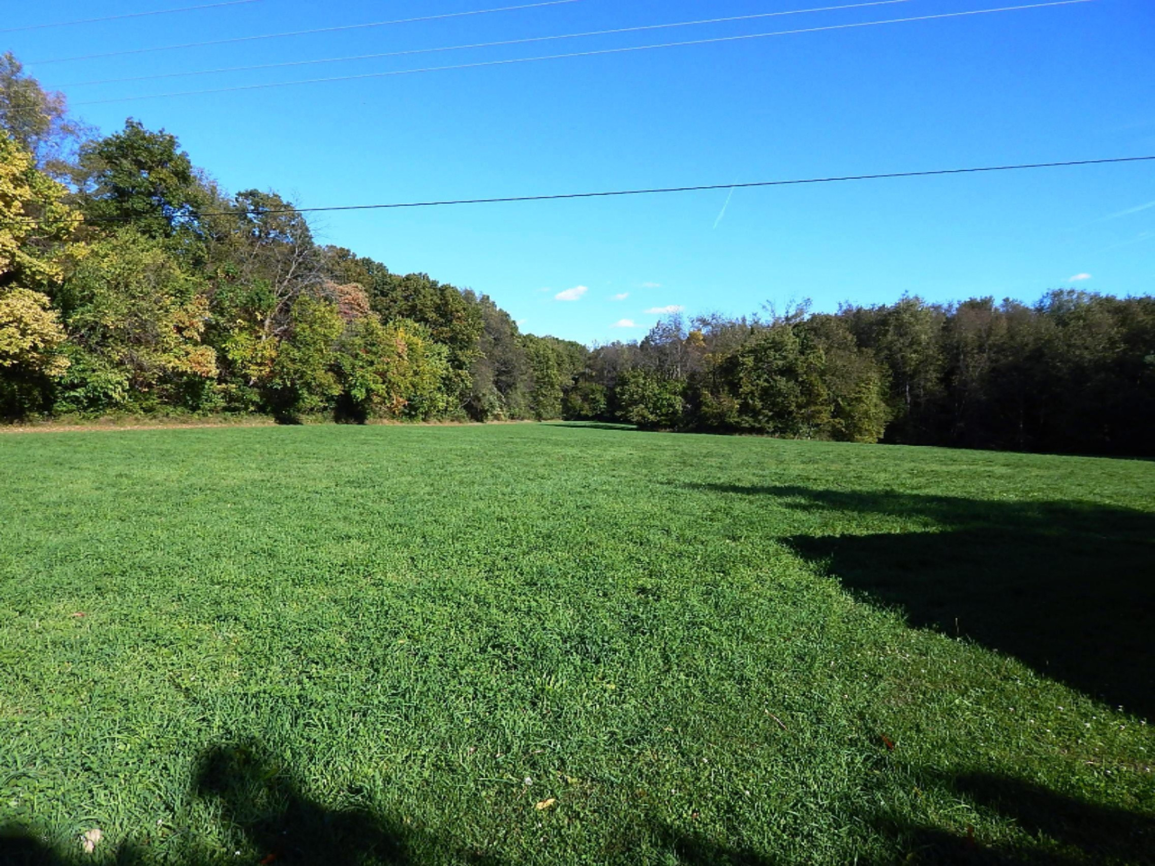 58919 Ferguson Road Three Rivers, MI 49093 - Photo 23 of 31 Property view 2