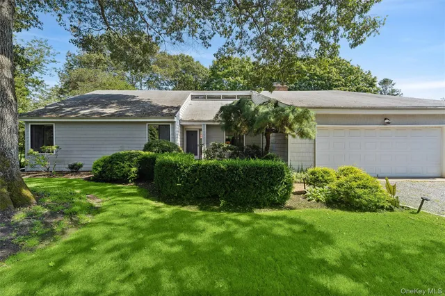 a view of backyard with potted plants and a large tree