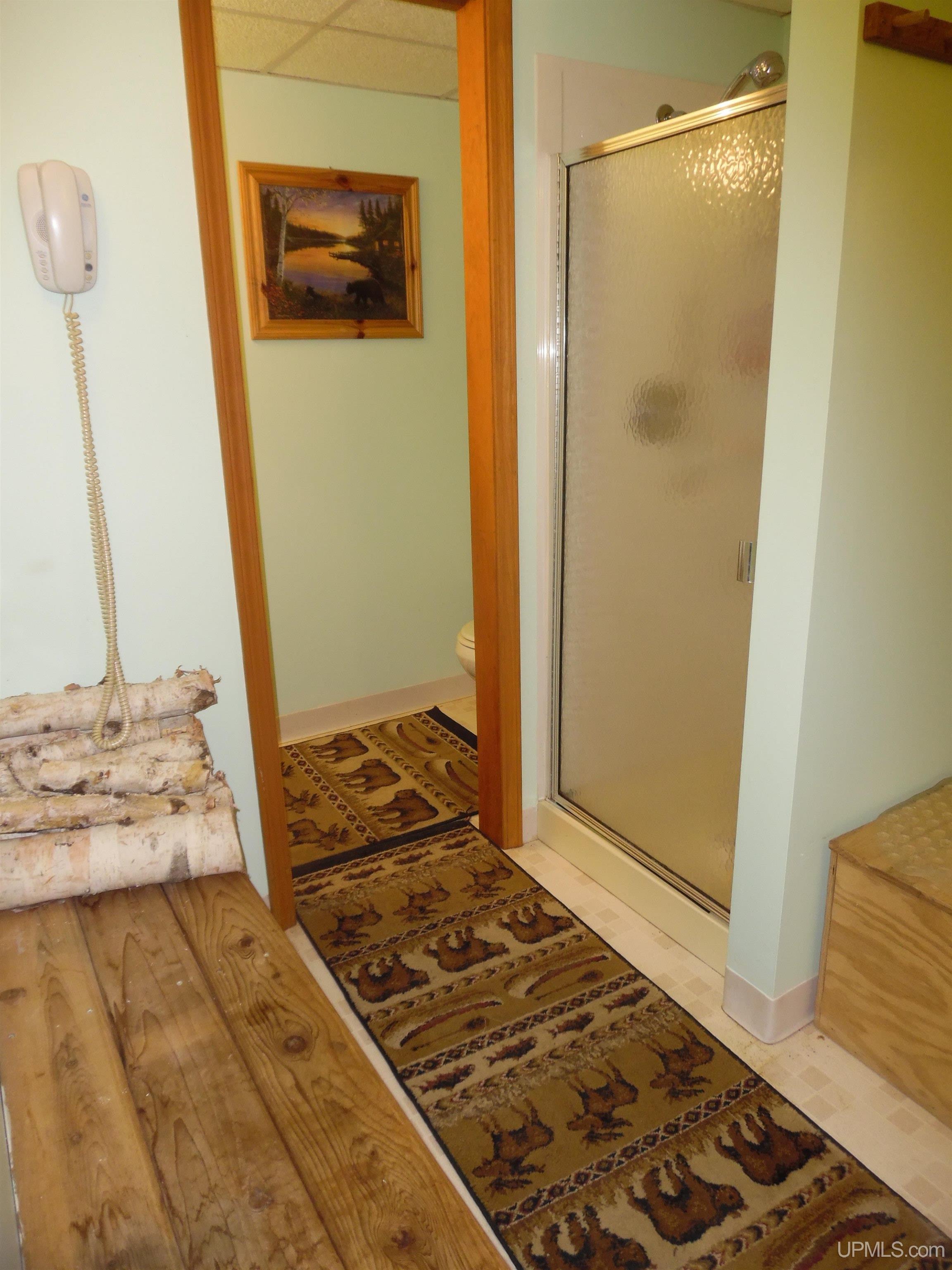 15929 St Collins Road Bruce Crossing, MI 49912 - Photo 22 of 44
