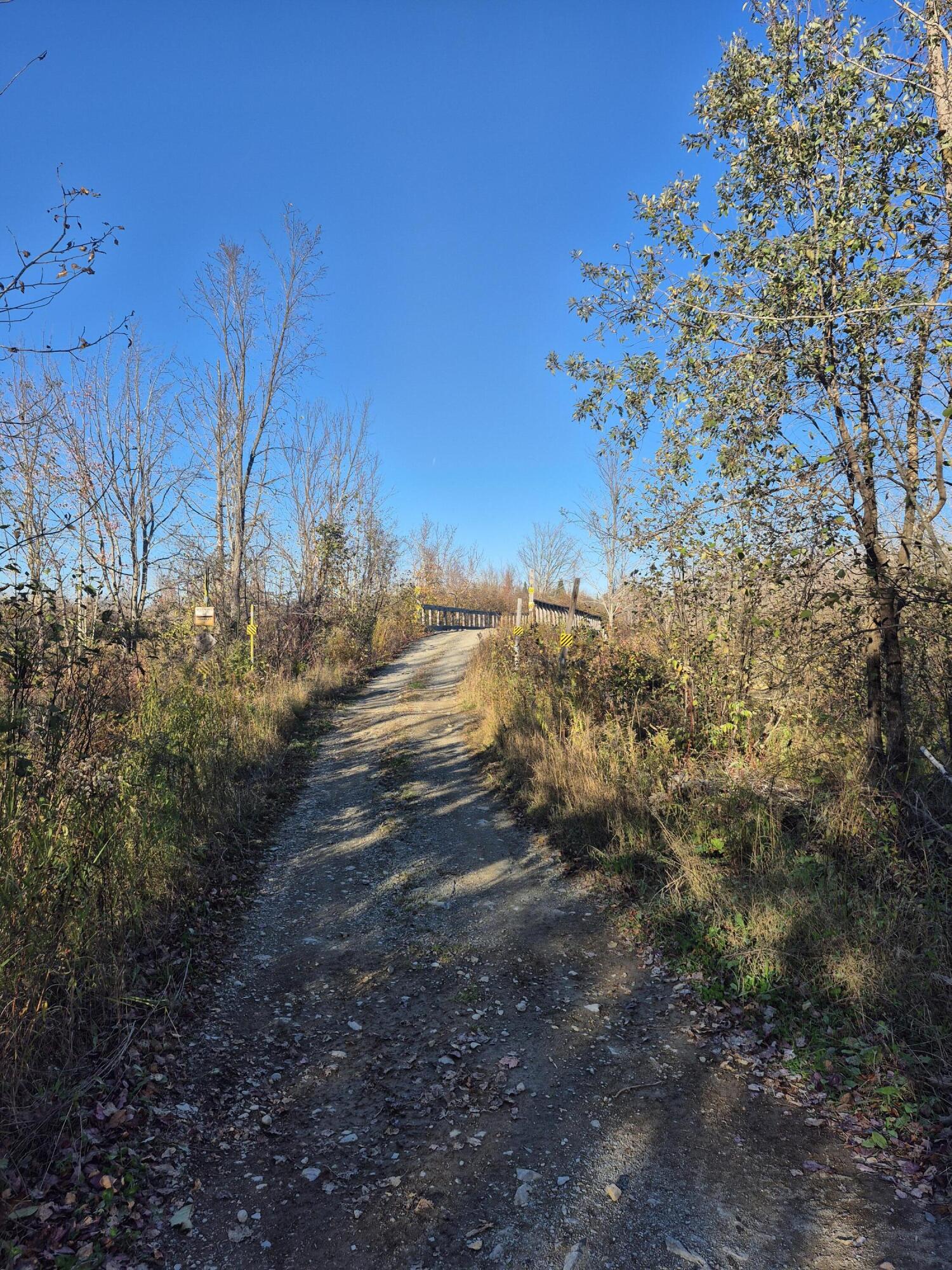 Lot #27 Bog Brook Rd Island Falls Island Falls, ME 04747 - Photo 5 of 7 20251011_160722