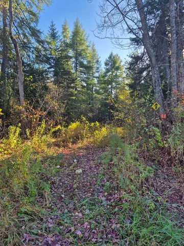 $56,000 | Lot #27 Bog Brook Rd Island Falls, Island Falls, ME 04747