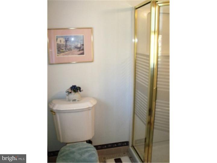 19 Seminary Road Glenmoore, PA 19343 - Photo 14 of 25 Master Bathroom
