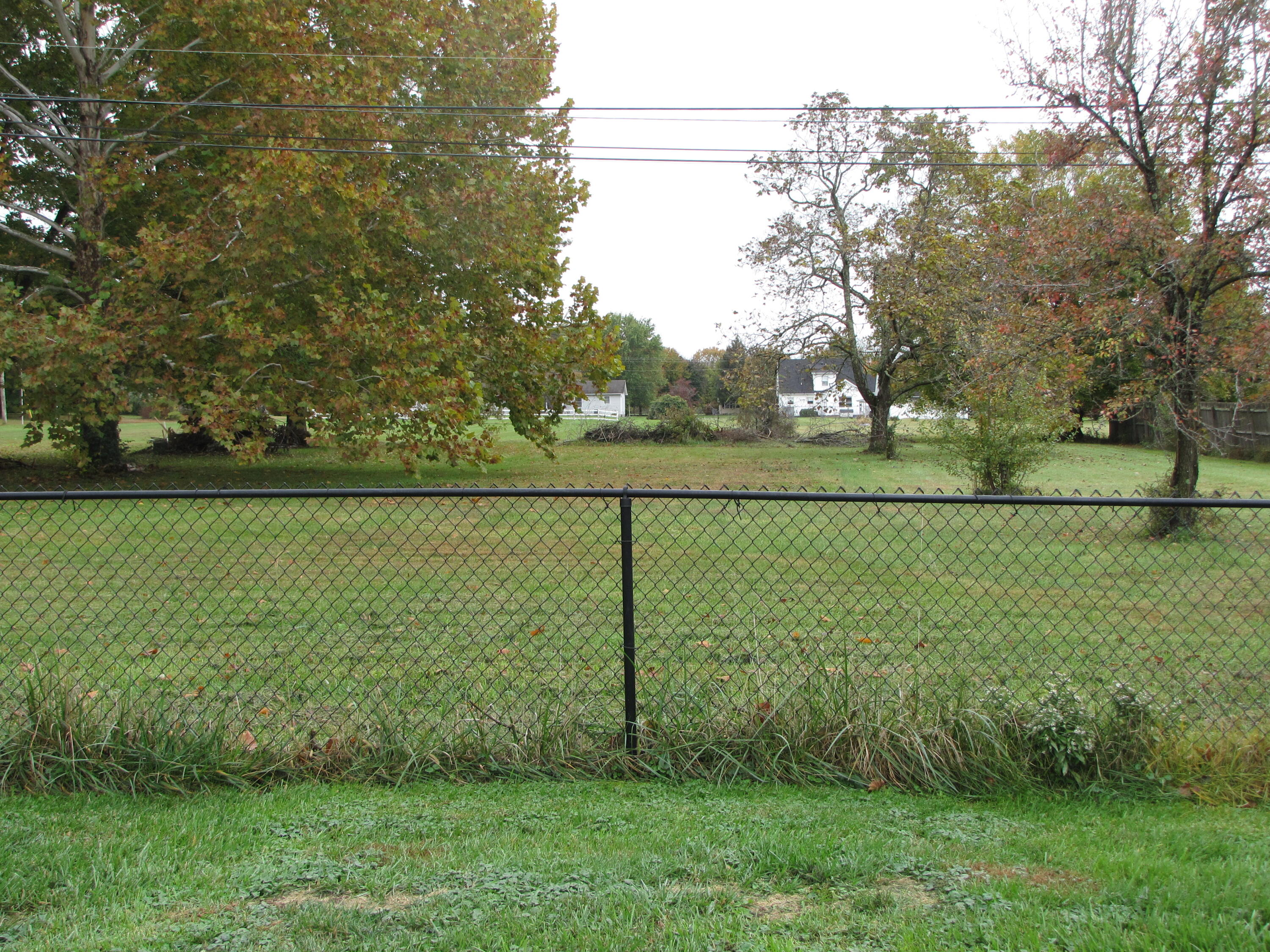 116 Johnson Road Berea, KY 40403 - Photo 9 of 36 Back Yard