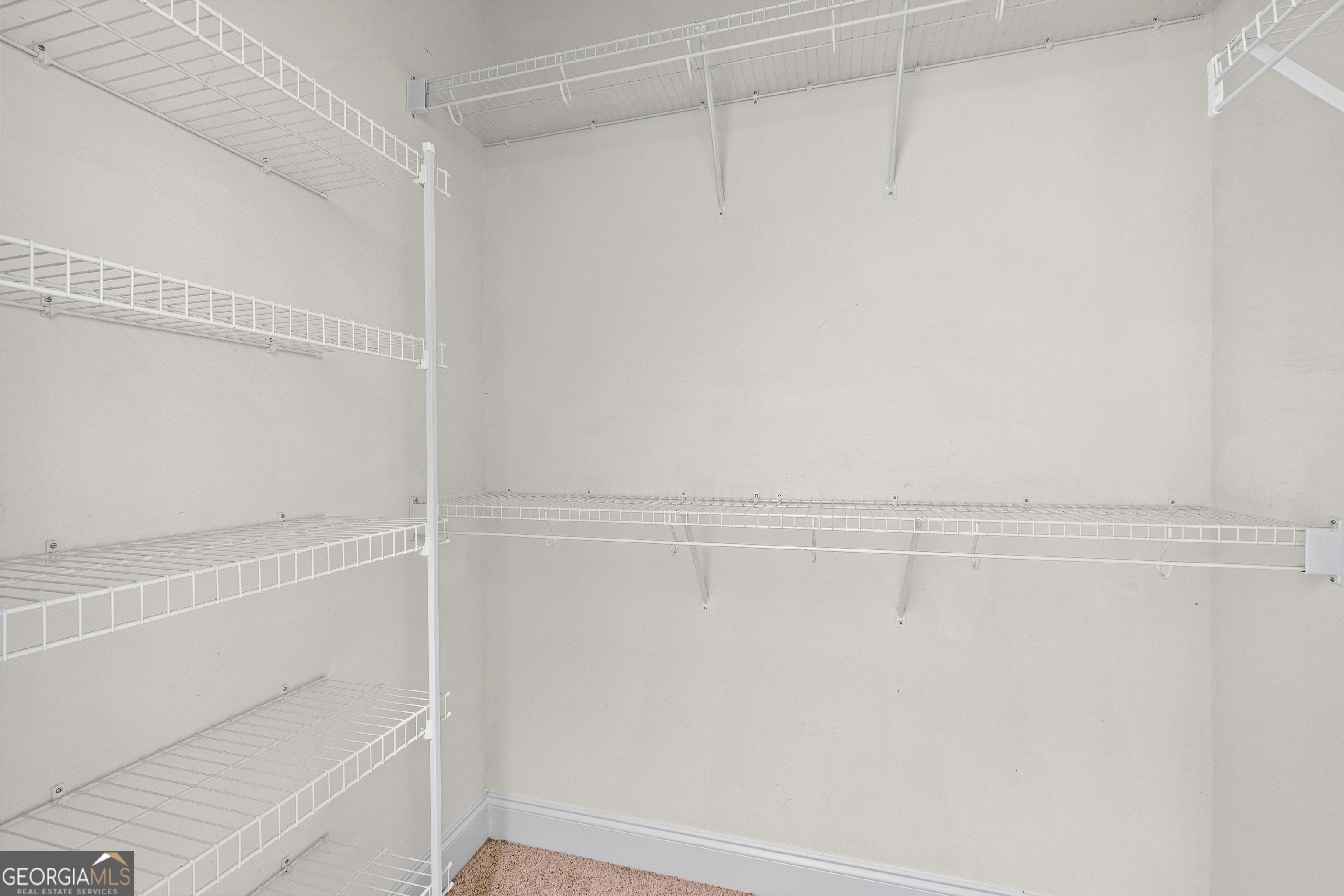 120 Shankhill Ridge Tyrone, GA 30290 - Photo 28 of 54 a view of walk in closet