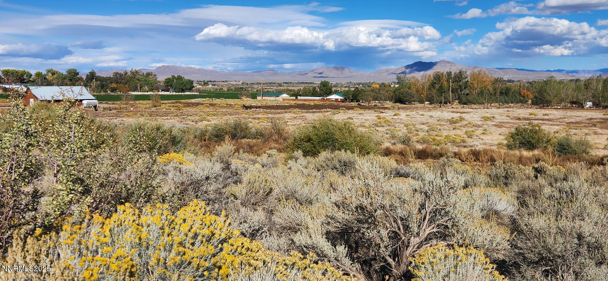 0 Long View Wellington, NV 89444 - Photo 11 of 11 a view of an outdoor space and a yard