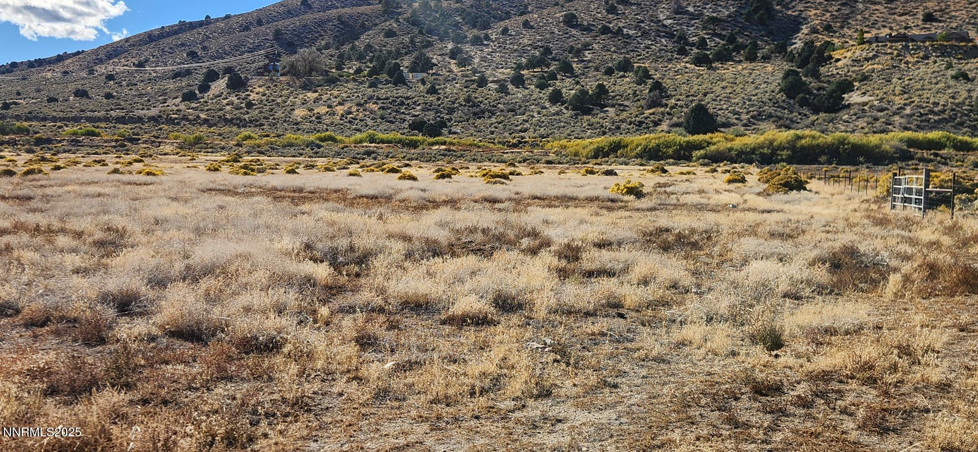 0 Long View Wellington, NV 89444 - Photo 4 of 11 a view of a field