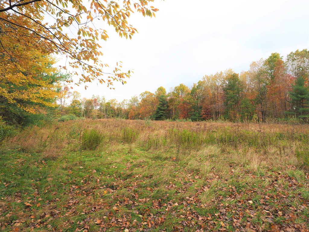 Lot B J Davis Road Charlton, MA 01507 - Photo 6 of 9 Gallery Image 6