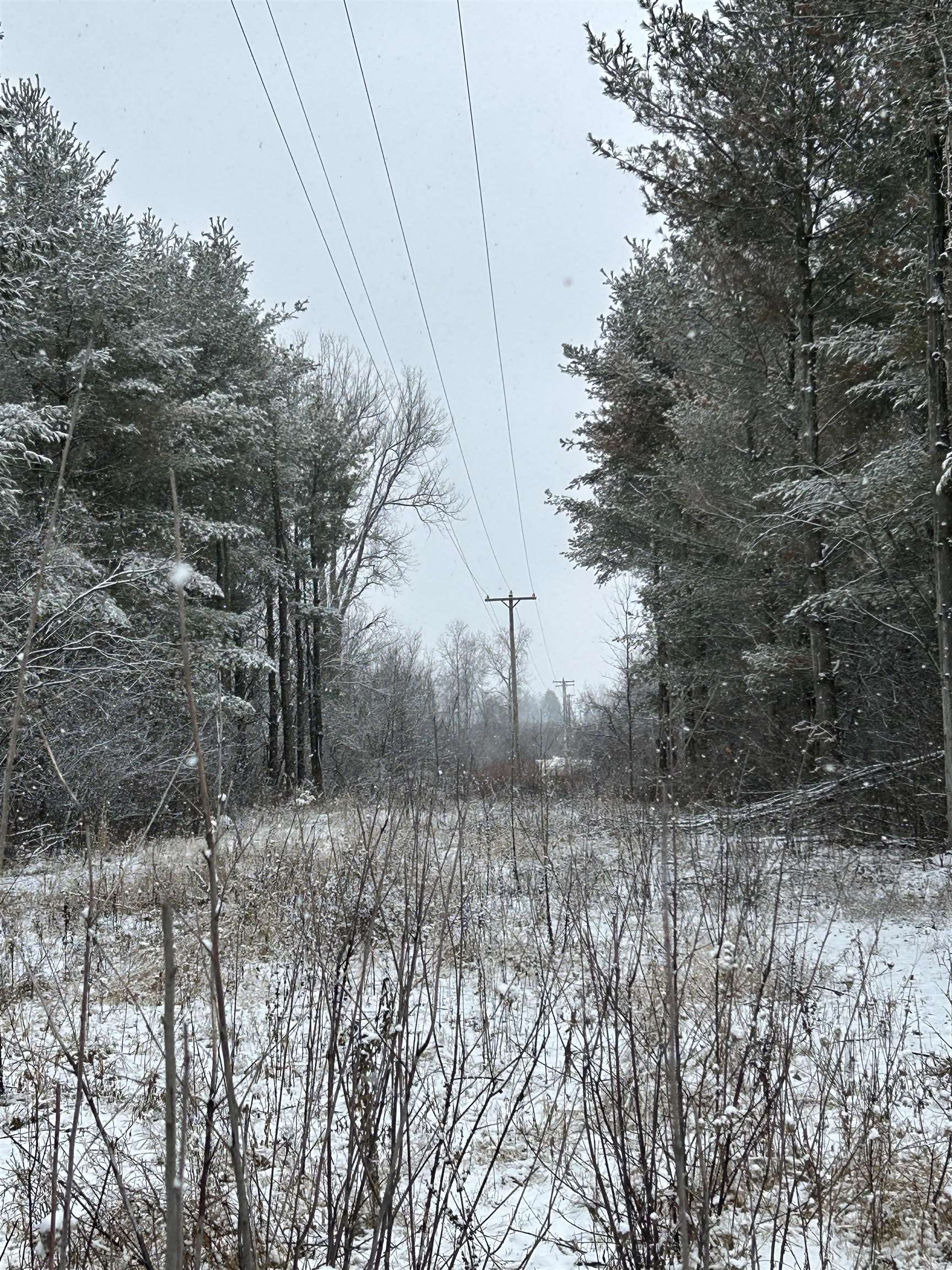 0 Wheeler Road, Unit LAND Standish, MI 48658 - Photo 2 of 11 Gallery Image 2